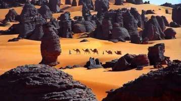 سلة غذاء العالم