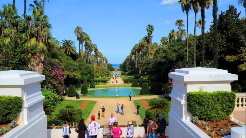 شاهد.. صور نادرة لفيلم طرزان ملتقطة بالجزائر عام 1938