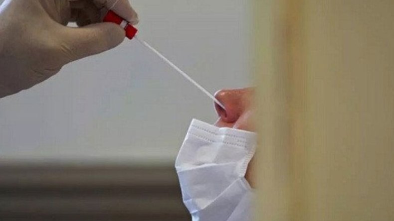 الصيادلة يطالبون بتمكينهم من إجراء تحاليل المضادات الجينية