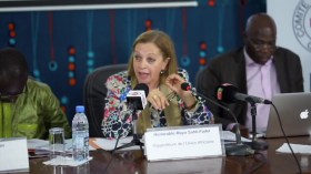 انتخاب الجزائرية مايا ساحلي لمنصب نائب رئيس اللجنة الافريقية لحقوق الإنسان