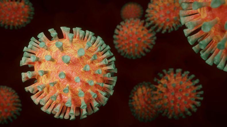 Coronavirus: Le variant Omicron inquiète l’OMS