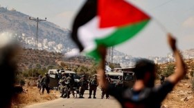 Collectif des Algériens établis en France: L’ONU appelée à agir pour stopper les crimes israéliens