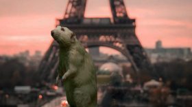Paris capitale des rats? Un homme décède après avoir été mordu!