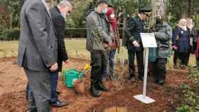 المديرية العامة للغابات و”كوتكس” تطلقان حملة تشجير واسعة