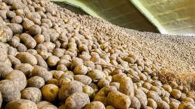 أخبار الجزائر ليوم الأحد 03 نوفمبر 2024