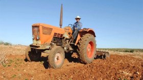 الأمطار الخريفية تنقذ الموسم الفلاحي