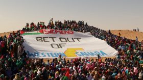 منظمة دولية: على شركات الطاقة مغادرة الصحراء الغربية فورا