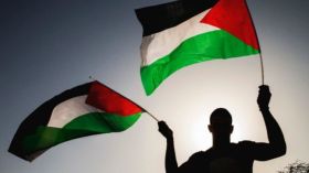 بين أوكرانيا وفلسطين!