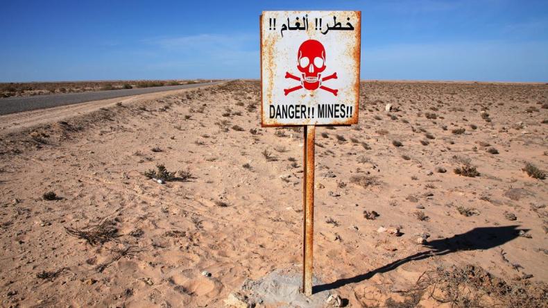 الجزائر ترأس لجنة مساعدة ضحايا الألغام المضادة للأفراد لعام 2022