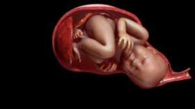 بالصور والفيديو.. دراسة تكشف سبب ضيق قناة رحم المرأة الخطير على الولادة 