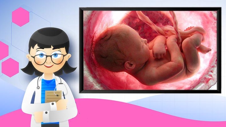 ضبط طبيبة نساء وتوليد مزيفة مطلوبة في 11 قضية!