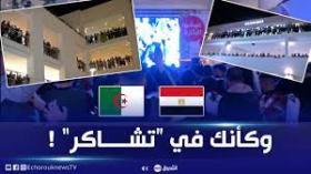 الهدف الأول للخضر في شباك الفراعنة من داخل مول بالشراقة