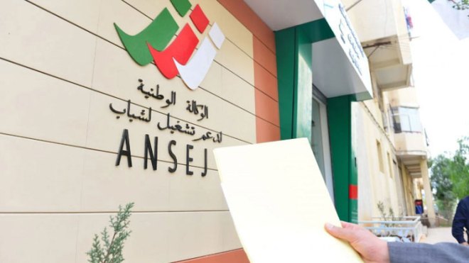 دمج “كناك” و”أناد”.. خطة لإنقاذ 120 ألف شاب!