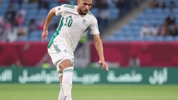 طنين الذباب و”النش”  