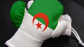 ذهبية واحدة.. فضيتان وبرونزيتان في دورة صربيا