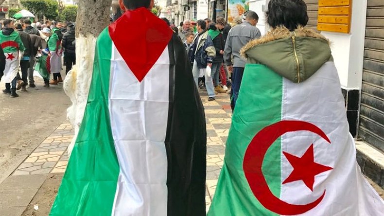 لهذا يحبّ الفلسطينيون الجزائر
