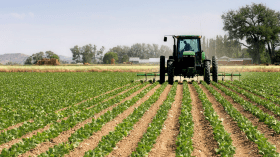 الكشف عن عدد العاملين بقطاع الفلاحة في الجزائر