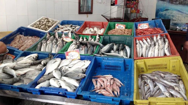 حذار… أسماك سامة تهدد صحة الجزائريين