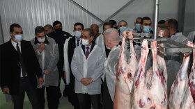 تفعيل المركبات الجهوية للحوم الحمراء لتغطية الطلب