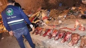 هياكل ورؤوس حمير مسلوخة في حاويات قمامة بوهران