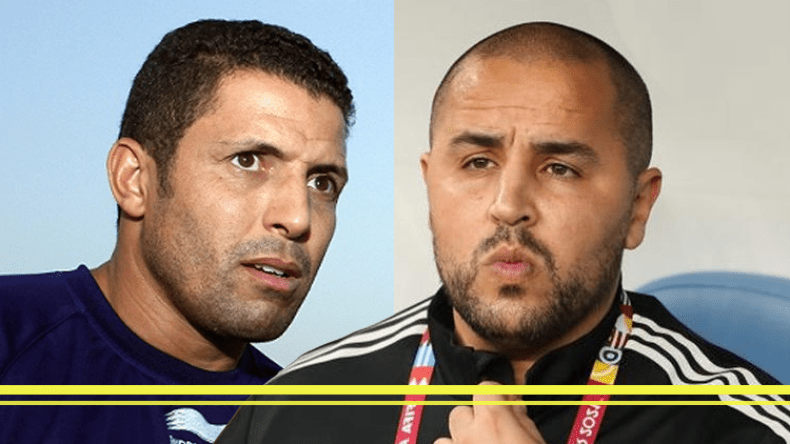 المحاربون لا يخشون الأسود