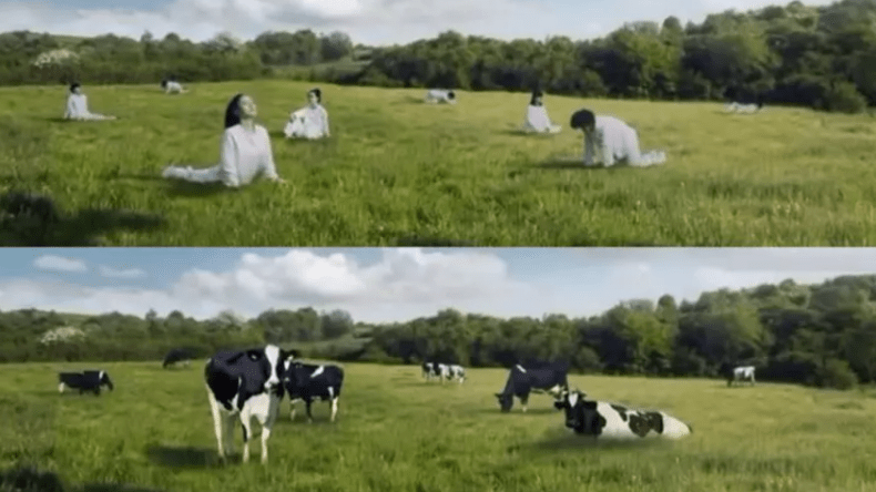 نساء في صورة أبقار.. إعلان لشركة ألبان يثير الغضب!