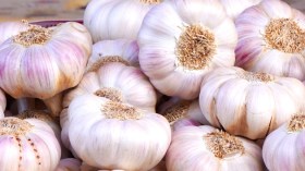 إخراج مخزون الثوم لمواجهة التهاب الأسعار