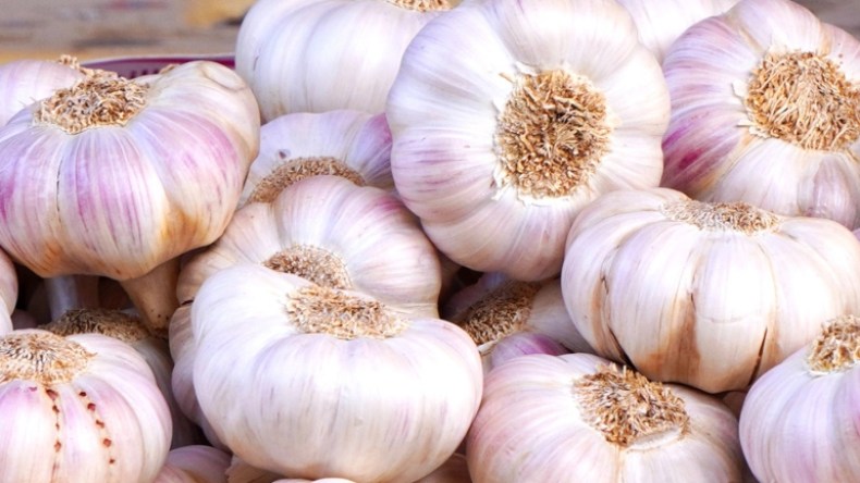 إخراج مخزون الثوم لمواجهة التهاب الأسعار