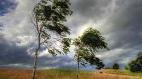 نشرية خاصة: رياح قوية عبر أزيد من 30 ولاية