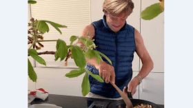 صورة متداولة للمستشارة الألمانية ميركل وهي تطبخ بعد انتهاء ولايتها