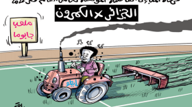 الجزائر – الكاميرون