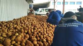 هني يدعو المتعاملين إلى تعزيز مخزون البطاطا تحسبا لشهر رمضان