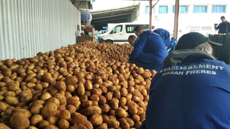 هني يدعو المتعاملين إلى تعزيز مخزون البطاطا تحسبا لشهر رمضان