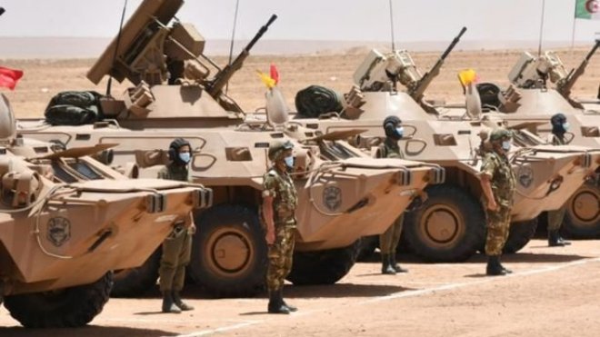 صحيفة روسية: الجزائر تجري تحديثا على مدرعة “بي تي إر – 80”
