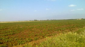 مشروع قانون لحماية الأراضي الزراعية قريبا