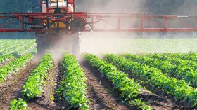 سوء استعمال المبيدات يحول الخضر والفواكه إلى قنابل صحية