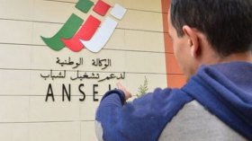 تطبيق الإجراءات الجديدة لدعم تشغيل الشباب بداية من الأربعاء