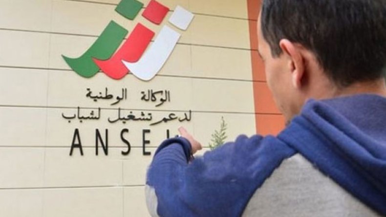 تطبيق الإجراءات الجديدة لدعم تشغيل الشباب بداية من الأربعاء