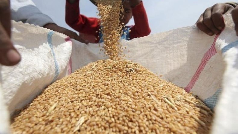 روسيا تضع شروطها لاستئناف صفقة الحبوب