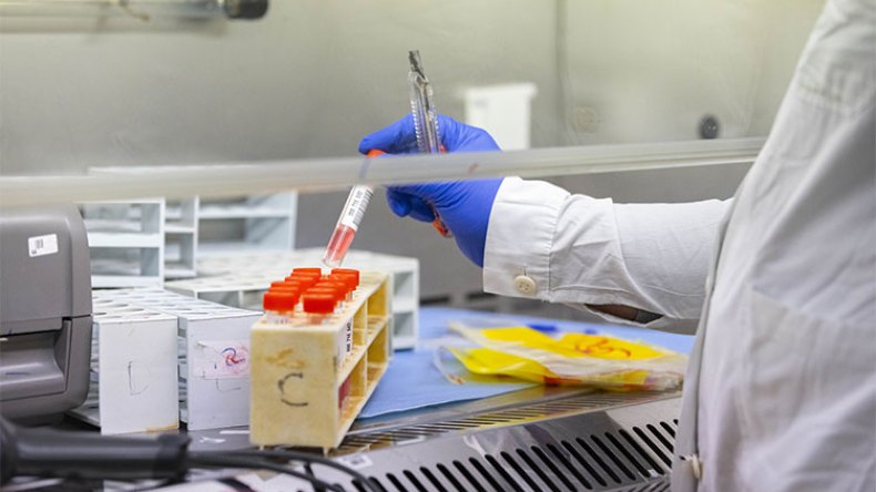 “أوميكرون الخفي” يثير ذعر الجزائريين مجددا