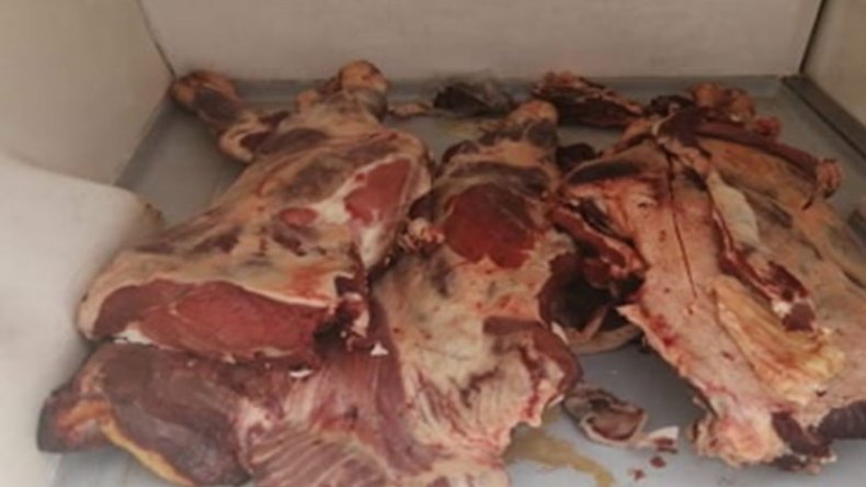 أخبار الجزائر ليوم السبت 29 جانفي 2022