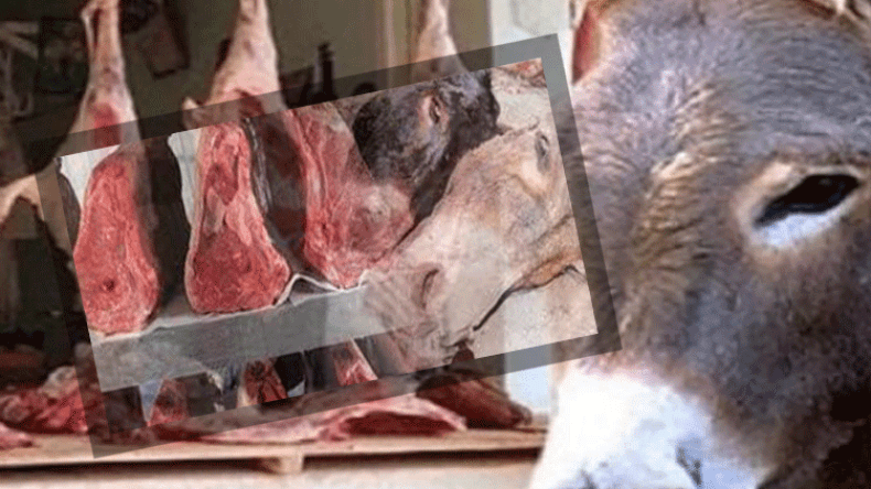 Craintes sur la commercialisation de la viande d’ane a Oran