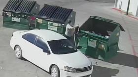 فيديو صادم.. أم تلقي برضيعها في حاوية القمامة والشرطة تقبض عليها!