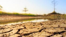 الجفاف.. الماء هو الحياة