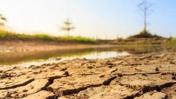 الأخضر والرمادي