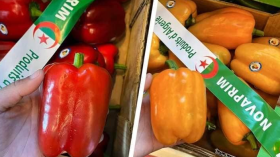 “خيرات الجزائر” في معرض دولي للفلاحة بباريس