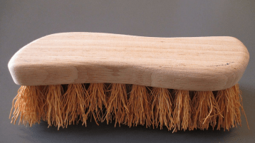 جناية “الشّيتة” على الأفراد والأمّة