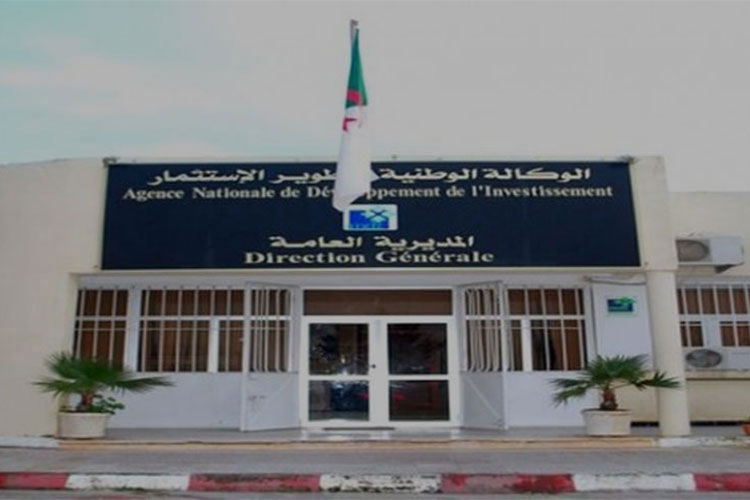 Algeria: “2500 Investment Files On Study Table”