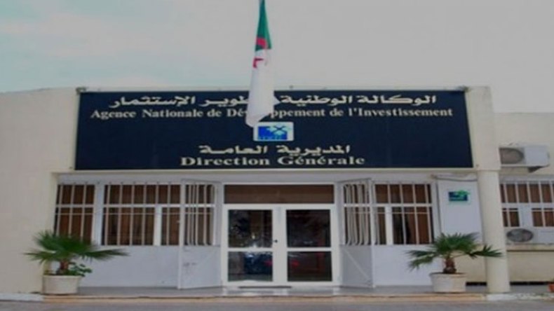 2500 ملف استثمار على طاولة الدراسة