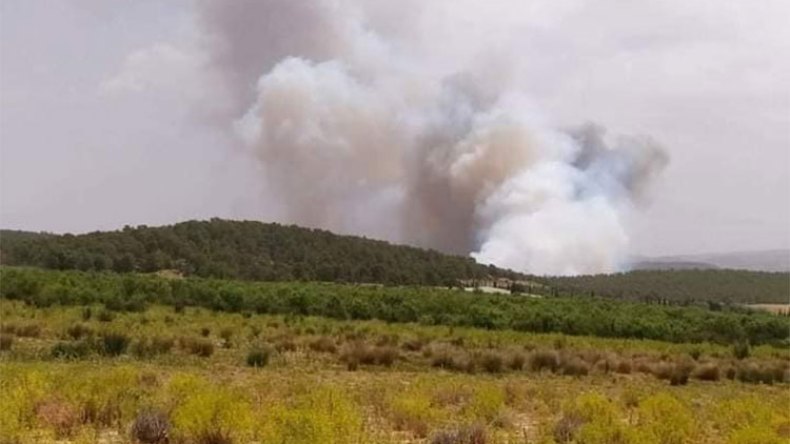 أخبار الجزائر ليوم الأحد 06 فيفري 2022